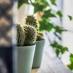 Santos Green Apartment